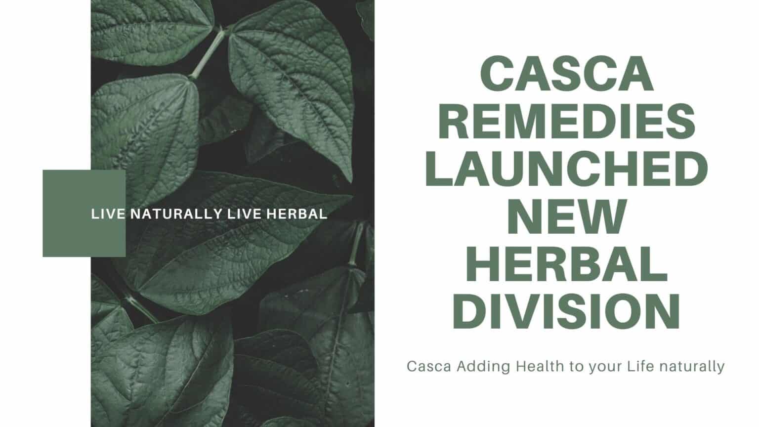 Herbal Manufacturing Company In India