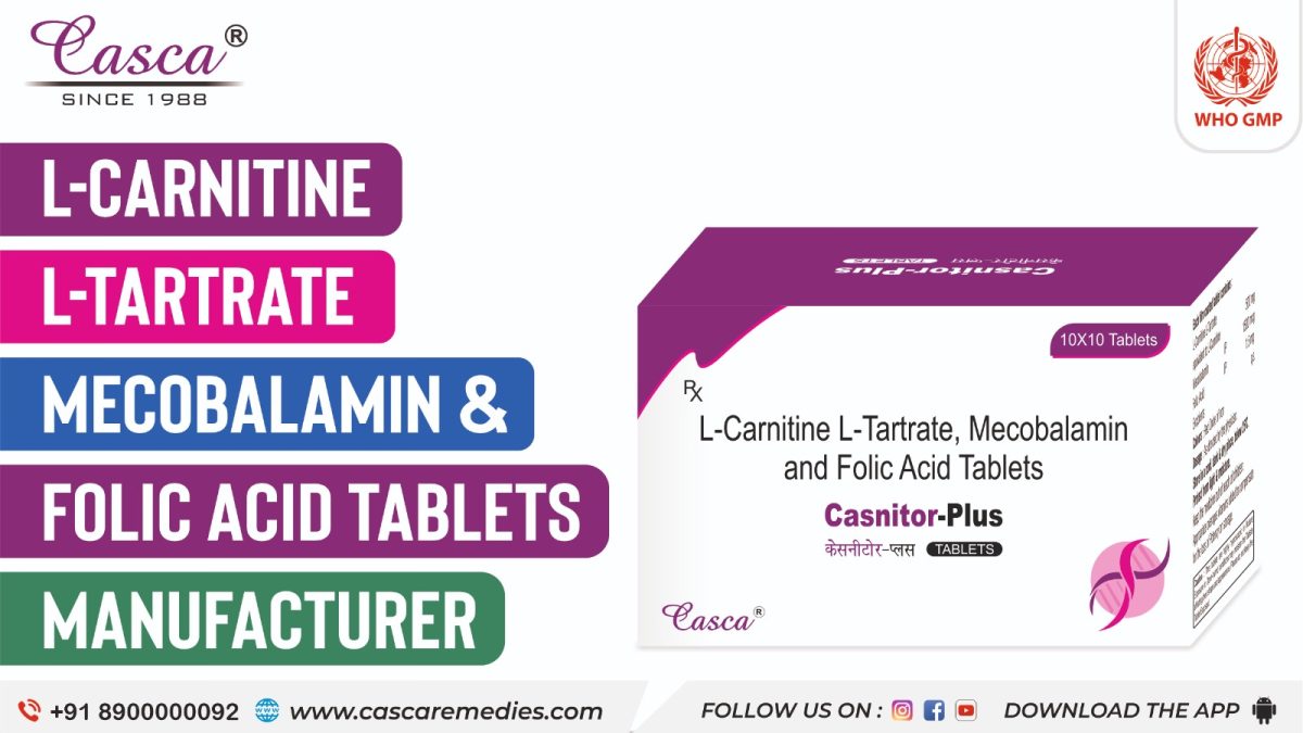 l carnitine rsp L-carnitine L-tartrate mecobalamin & folic acid tablets manufacturer