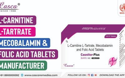 L-carnitine L-tartrate mecobalamin & folic acid tablets use