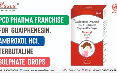Pcd pharma franchise for Guaiphenesin, Ambroxol HCl, Terbutaline Sulphate  drops