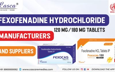 Fexofenadine Hydrochloride 120 mg/180mg Tablets Manufacturers and Suppliers